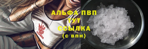 винт Аркадак