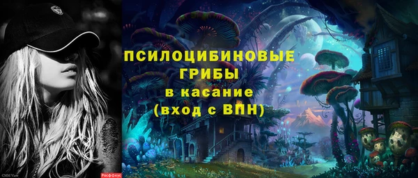винт Аркадак