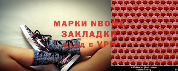винт Аркадак
