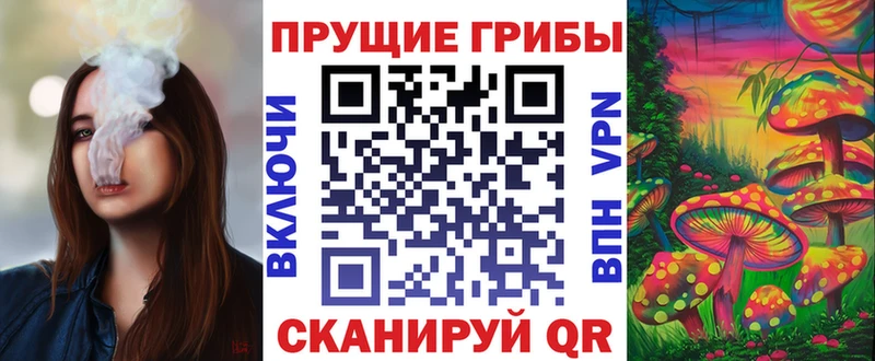 Псилоцибиновые грибы Psilocybe  Строитель 